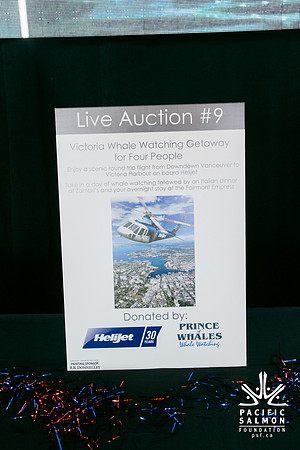 3 AUCTION ITEMS - PSF-SOMBILON PHOTOGRAPHY-23 - LOGO