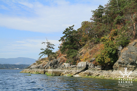 IMG_8632