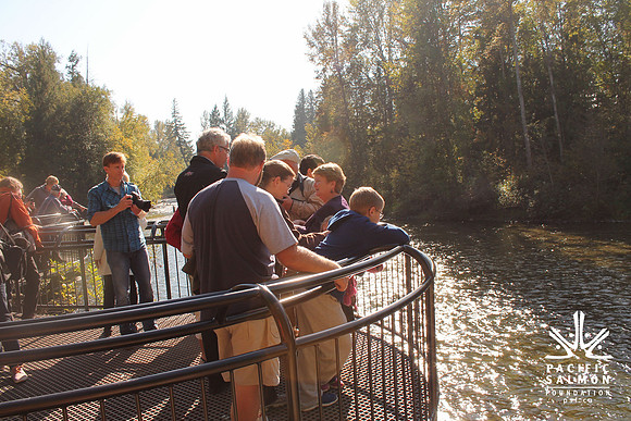 2014 Adams River Salute to Sockeye-13 - LOGO