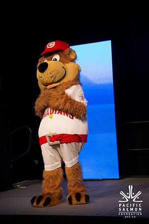 1 SILENT-LIVE AUCTION- PSF GALA 2014- Sombilon Photography-12 - LOGO