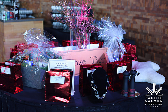 1 SILENT-LIVE AUCTION- PSF GALA 2014- Sombilon Photography-74 - LOGO