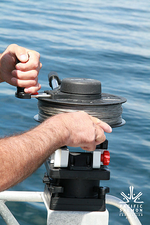 Salish Sea Marine Survival Project-77 - LOGO