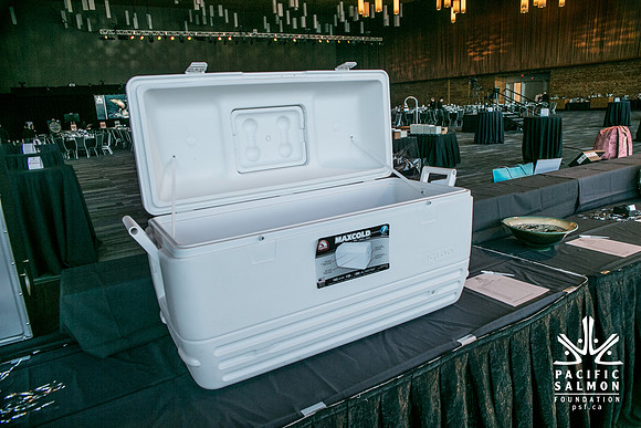 3 AUCTION ITEMS - PSF-SOMBILON PHOTOGRAPHY-179 - LOGO