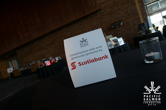 3 AUCTION ITEMS - PSF-SOMBILON PHOTOGRAPHY-218 - LOGO