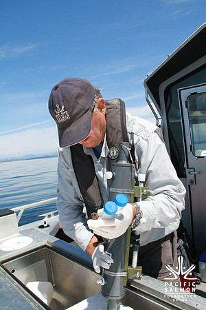 Salish Sea Marine Survival Project-8 - LOGO