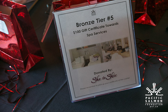 3 AUCTION ITEMS - PSF-SOMBILON PHOTOGRAPHY-250 - LOGO