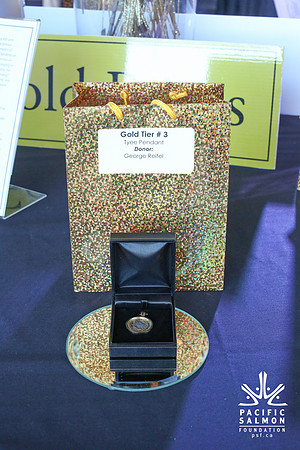 1 SILENT-LIVE AUCTION- PSF GALA 2014- Sombilon Photography-66 - LOGO