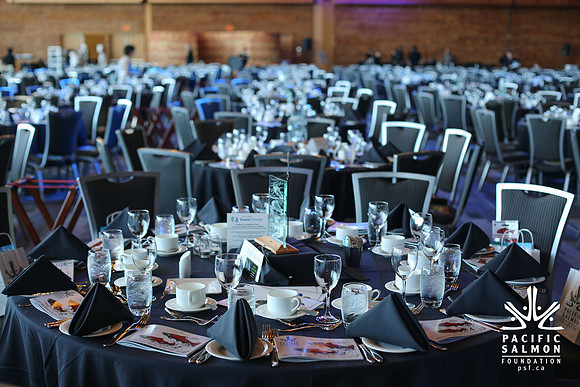 1 SILENT-LIVE AUCTION- PSF GALA 2014- Sombilon Photography-79 - LOGO