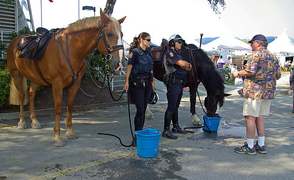 2009 Pink Salmon Festival-8