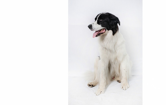 PACIFIC SALMON FOUNDATION - SOMBILON PHOTOGRAPHY-5635