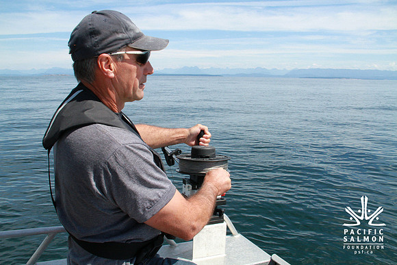 Salish Sea Marine Survival Project-91 - LOGO