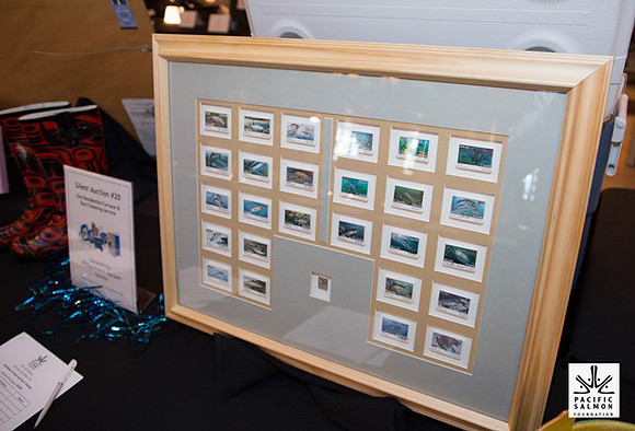 2015 South Vancouver Island Salmon Gala164