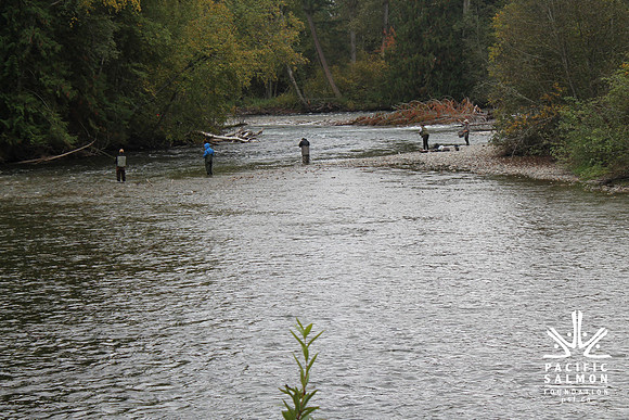 2014 Adams River Salute to Sockeye-159 - LOGO