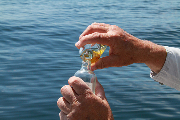 Salish Sea Marine Survival Project-95