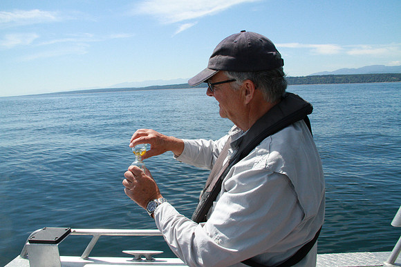 Salish Sea Marine Survival Project-94