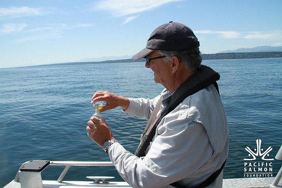Salish Sea Marine Survival Project-94 - LOGO