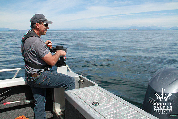 Salish Sea Marine Survival Project-81 - LOGO