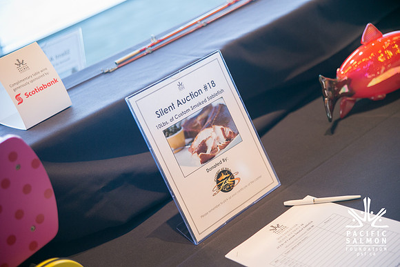3 AUCTION ITEMS - PSF-SOMBILON PHOTOGRAPHY-130 - LOGO