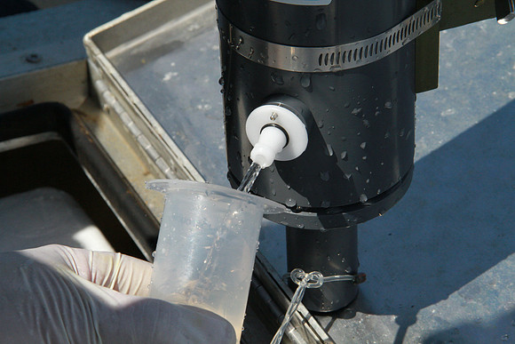 Salish Sea Marine Survival Project-48