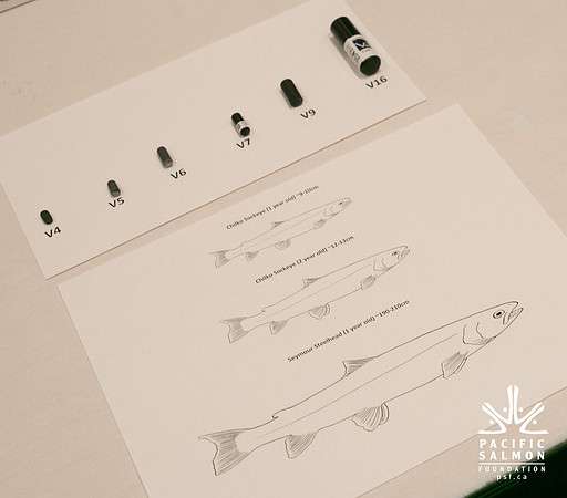 2 SCIENTISTS - SALISH SEA MARINE PROJECT - PSF-14 - LOGO