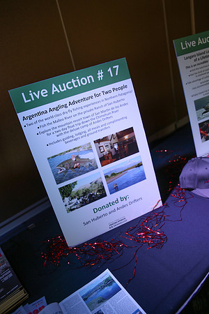 1 SILENT-LIVE AUCTION- PSF GALA 2014- Sombilon Photography-43