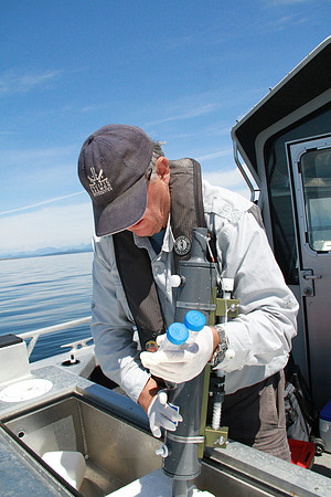 Salish Sea Marine Survival Project-8