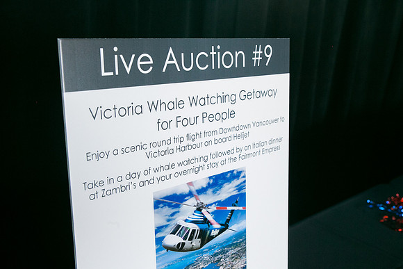 3 AUCTION ITEMS - PSF-SOMBILON PHOTOGRAPHY-24