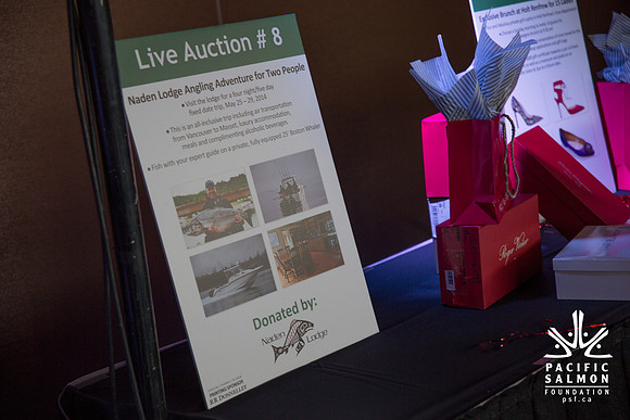 1 SILENT-LIVE AUCTION- PSF GALA 2014- Sombilon Photography-27 - LOGO
