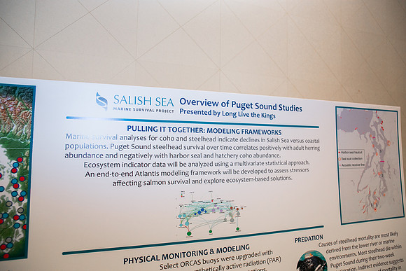 2 SCIENTISTS - SALISH SEA MARINE PROJECT - PSF