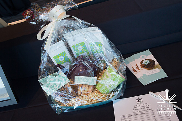3 AUCTION ITEMS - PSF-SOMBILON PHOTOGRAPHY-102 - LOGO
