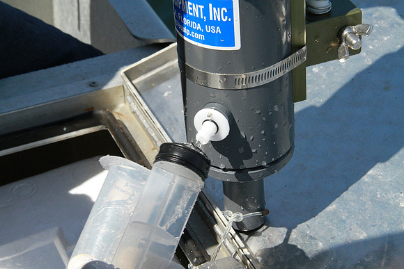 Salish Sea Marine Survival Project-50