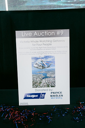3 AUCTION ITEMS - PSF-SOMBILON PHOTOGRAPHY-23