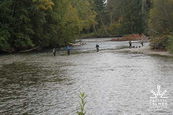 2014 Adams River Salute to Sockeye-158 - LOGO