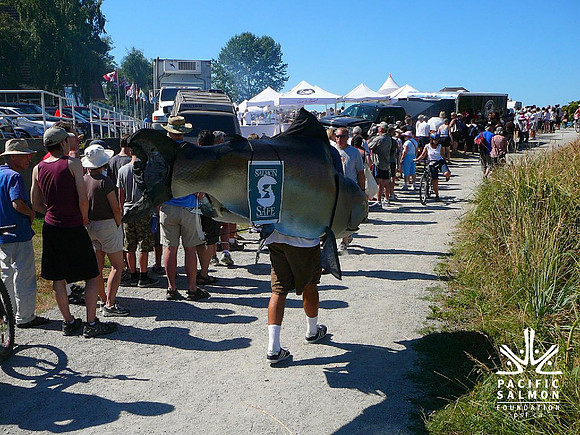 2011 Pink Salmon Festival - LOGO