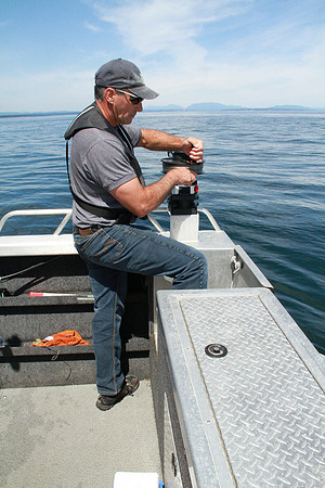 Salish Sea Marine Survival Project-79