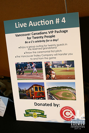 AUCTION-LIVE-ITEMS-PSF-Photos by Ron Sombilon-18 - LOGO