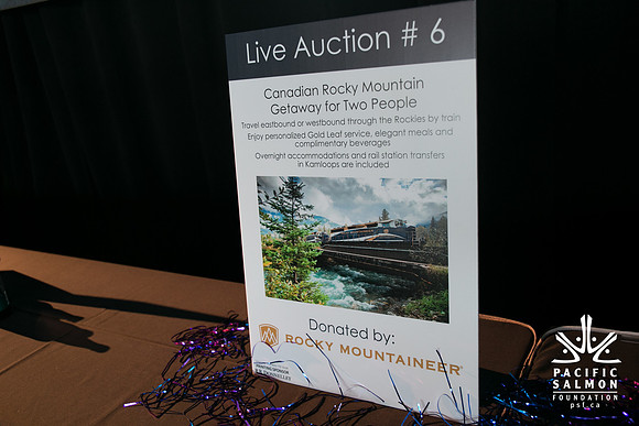 3 AUCTION ITEMS - PSF-SOMBILON PHOTOGRAPHY-35 - LOGO