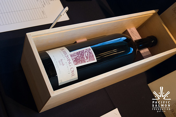 3 AUCTION ITEMS - PSF-SOMBILON PHOTOGRAPHY-117 - LOGO