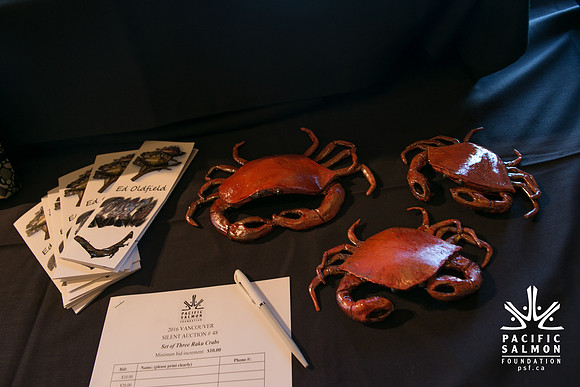 3 AUCTION ITEMS - PSF-SOMBILON PHOTOGRAPHY-209 - LOGO