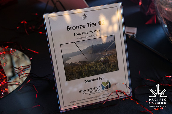 3 AUCTION ITEMS - PSF-SOMBILON PHOTOGRAPHY-254 - LOGO