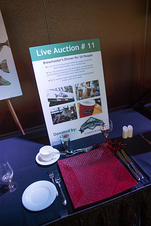 1 SILENT-LIVE AUCTION- PSF GALA 2014- Sombilon Photography-31