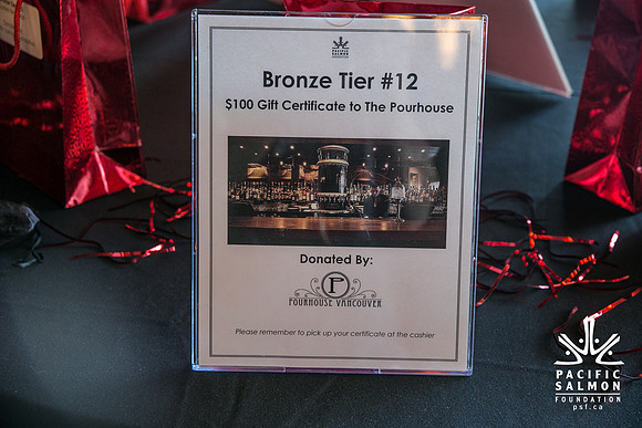 3 AUCTION ITEMS - PSF-SOMBILON PHOTOGRAPHY-242 - LOGO