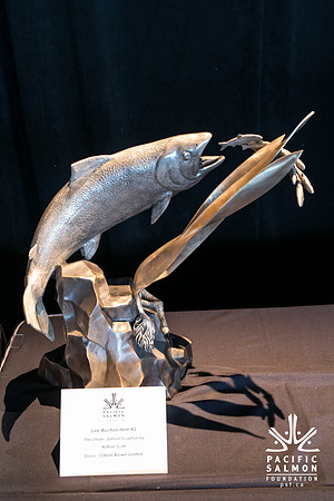 3 AUCTION ITEMS - PSF-SOMBILON PHOTOGRAPHY-50 - LOGO