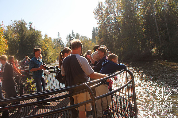 2014 Adams River Salute to Sockeye-14 - LOGO
