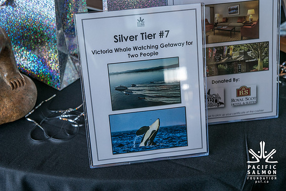 3 AUCTION ITEMS - PSF-SOMBILON PHOTOGRAPHY-225 - LOGO