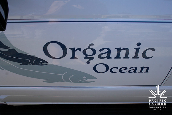 2011 Pink Salmon Festival-35 - LOGO