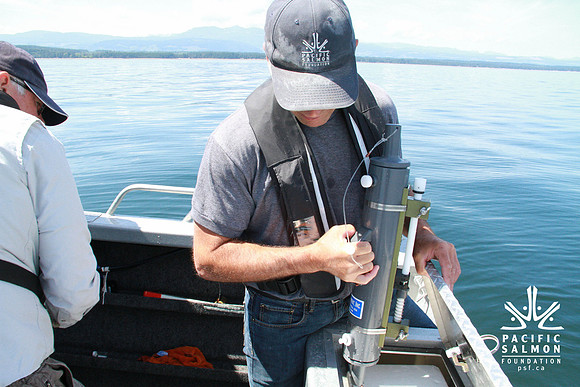 Salish Sea Marine Survival Project-26 - LOGO