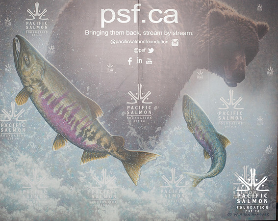 1 GUESTS - PSF-SOMBILON PHOTOGRAPHY-23 - LOGO