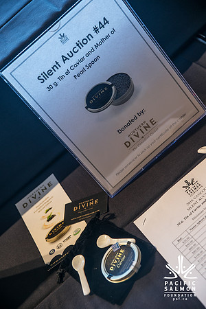 3 AUCTION ITEMS - PSF-SOMBILON PHOTOGRAPHY-203 - LOGO