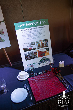1 SILENT-LIVE AUCTION- PSF GALA 2014- Sombilon Photography-31 - LOGO